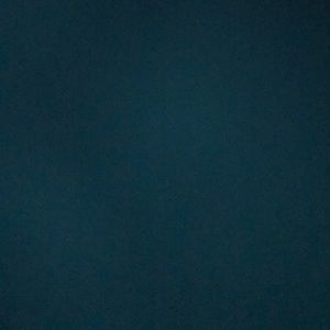 Meet your Posher, Tanner